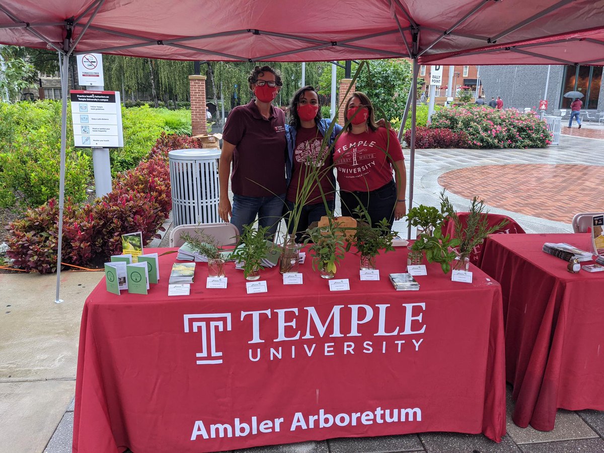 TempleAmbler's tweet photo. Stop by the University College tables near O'Connor Plaza on Main Campus to discover the variety of resources and programs that can be part of your Temple experience.
#TUwelcome #TUtogether
@Temple_HBG @tufieldstation @TUCCTemple @templesummer @tu_precollege https://t.co/8i8RiIKaBL