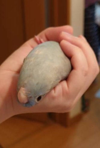 じょなさん tweet media