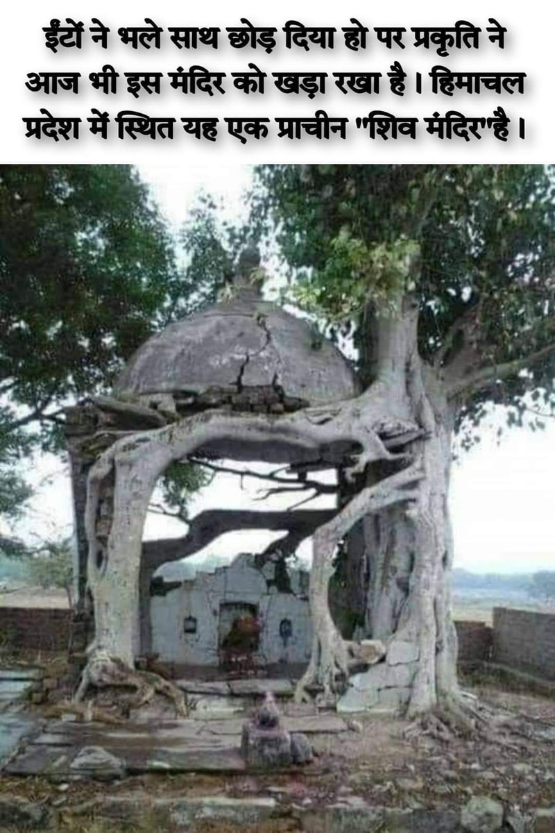 शिव साधना मे लीन प्रकृति।

Nature absorbed in Shiva Sadhana