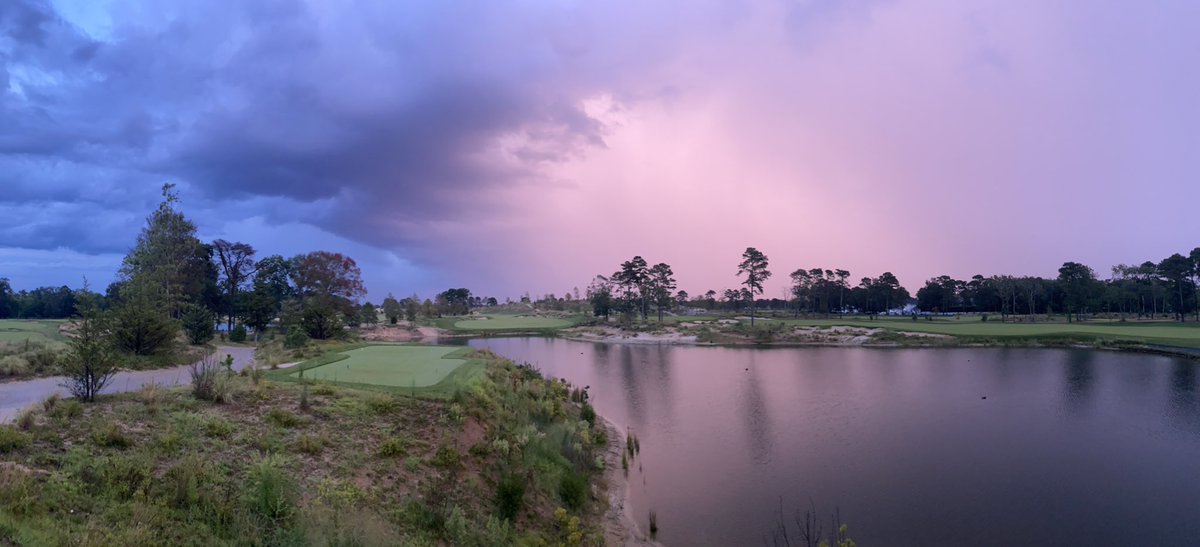 Mark Harrison tweet media