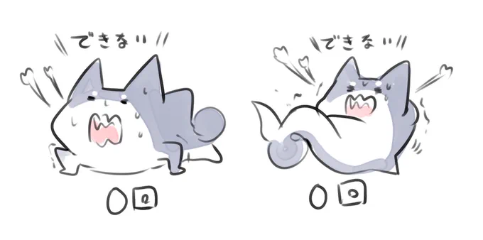 #ド直球に言いますがフォローしてください 
サメ柴っていうキャラクター描いてます。ラインスタンプも出てるよ 