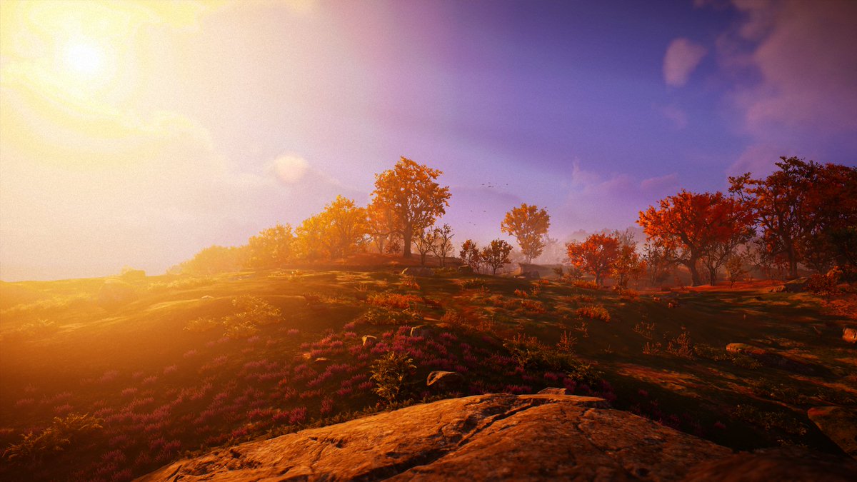 Bro12214's tweet photo. #AssassinsCreedValhalla #pcgaiming #screenshot https://t.co/JLFv7BNsbq