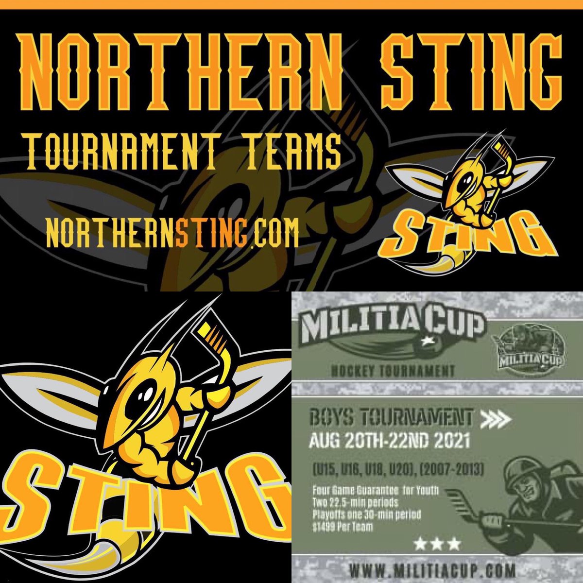 Northern Sting Hockey Club tweet media