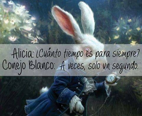 soldelro tweet picture