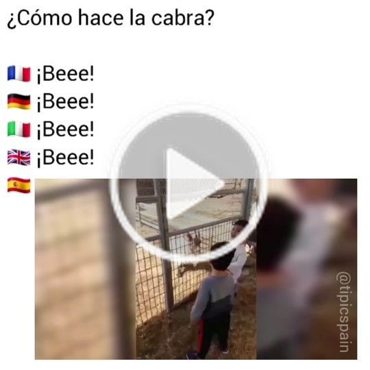 Un poco de humor para terminar la semana!!! Adolfito! 🍔🍔🍔🍔🤣🤣🤣

#humor #Spain #espana #hamburgueseria #comida #cocina #restaurant #viernes 
buff.ly/3CnD459