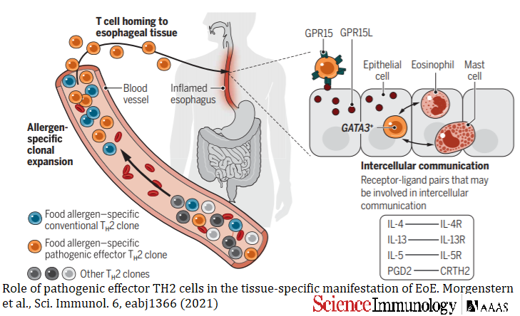 V8fwaxlijslxrm V8fwaxlijslxrm