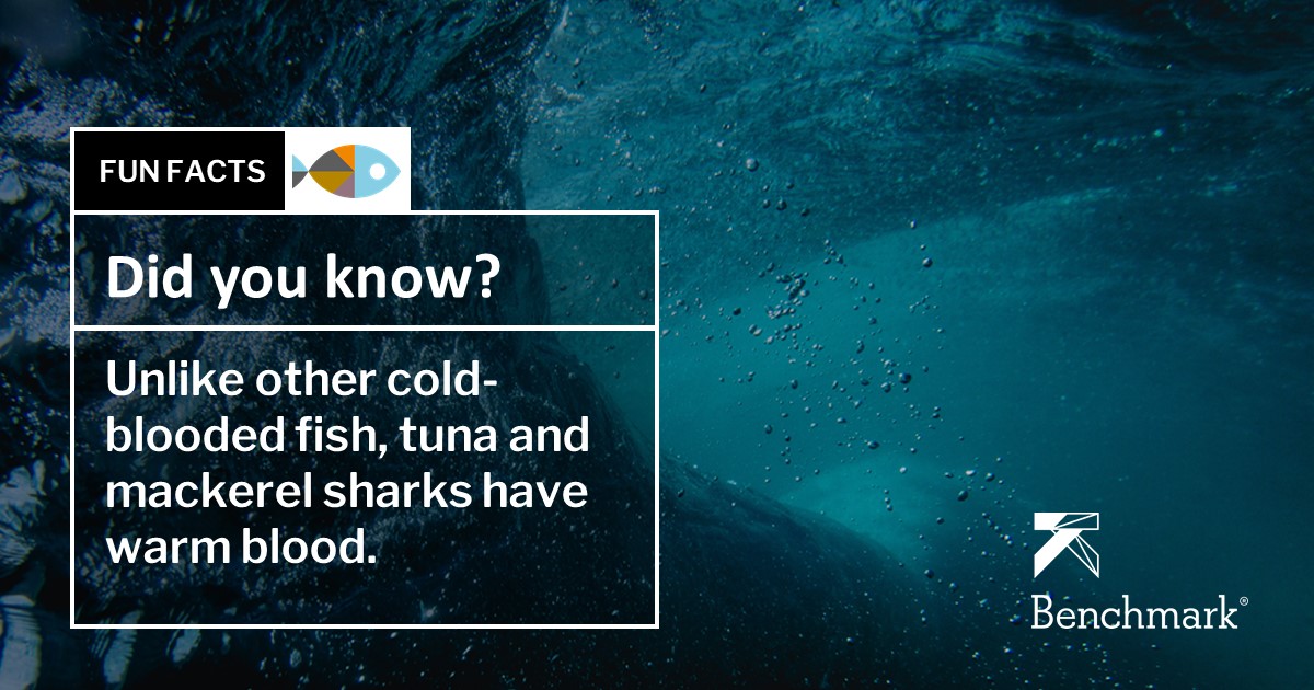 Friday fun fact!