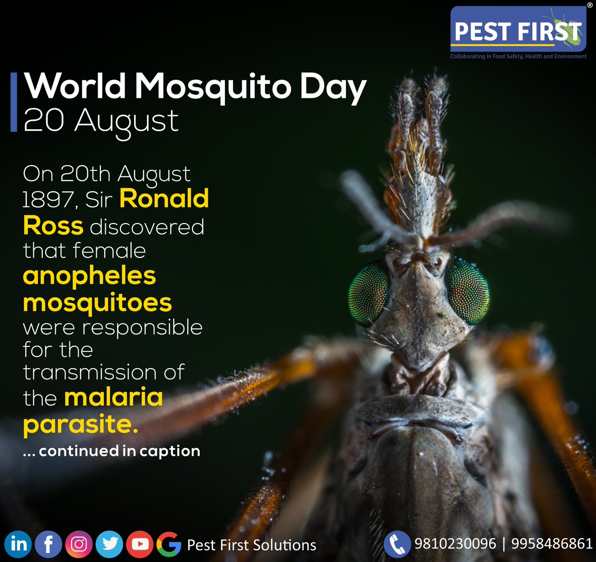 PestFirstSoln's tweet photo. On 20th August 1897, Sir Ronald Ross discovered, Anopheles #mosquitoes were responsible for the transmission of the #malaria parasite.
To mark this breakthrough discovery, we celebrate 20 August as #WorldMosquitoDay each year.
#pestcontrol #pestfirstsolutions #MosquitoControl https://t.co/s9wKMAtqXe