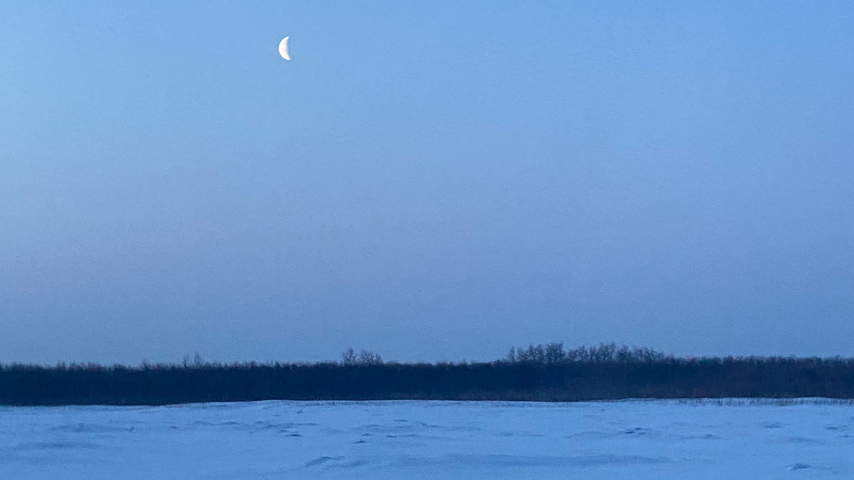 CDCMMWR's tweet photo. New CDC MMWR finds #RapidAntigenTesting has value in helping control the spread of #COVID19 in remote Alaskan areas by providing same-day results that allow for fast self-isolation & treatment. Quicker test results help #PreventOutbreaks. Learn more: https://t.co/N6lZPlC1kh https://t.co/ZCK0pqLQkx