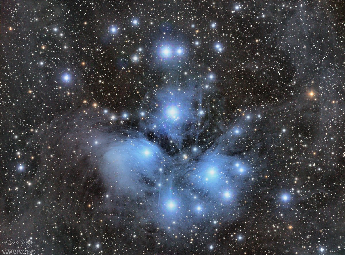astrocatinfo's tweet photo. The Pleiades ✨ from my backyard 🔭

Cosmic gas/dust all around https://t.co/kfRgbsyqWE