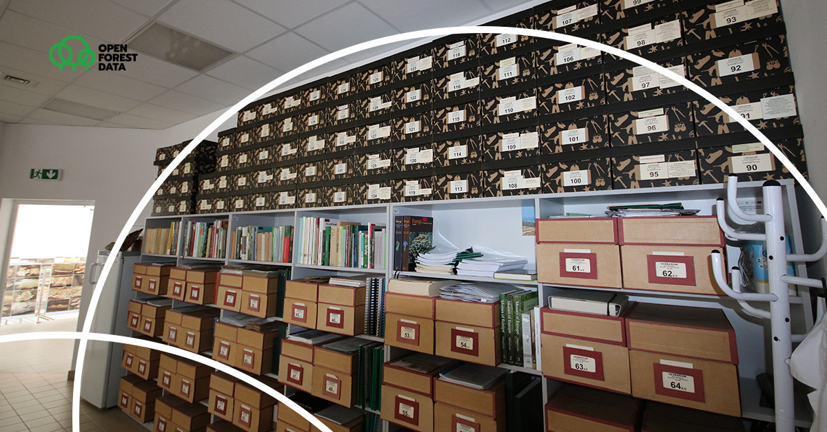 open_forest's tweet image. Kolekcje roślin naczyniowych, grzybów makro- oraz mikroskopowych przechowywane są w Instytucie Nauk Leśnych PB w tuzinach kartonowych pudeł. W każdym pudle - od kilkudziesięciu do kilkuset okazów. Wszystkie są wyjmowane, digitalizowane i wprowadzane do naszego repozytorium.