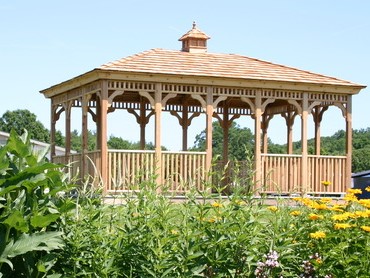 Interest in using native plants in the home landscapes is growing! CCE Master Gardeners will show you some of the native plants growing in the Demonstration Garden. Join us Tuesday, August 24th at 6:30 PM. For details ccerensselaer.org/events