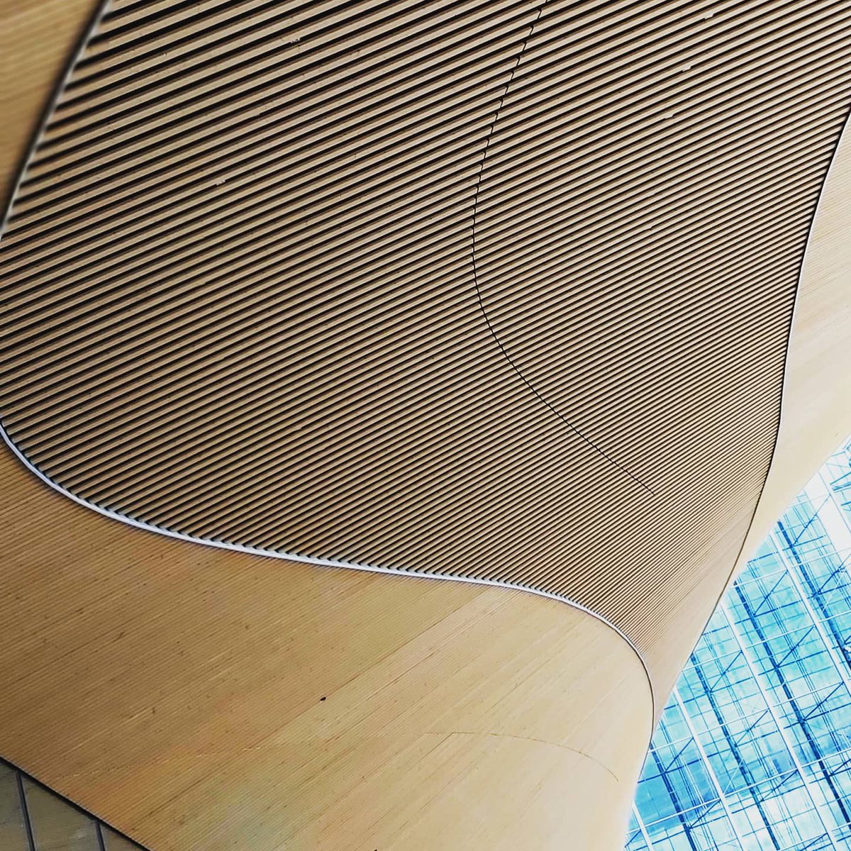 ORGANIC GOURMET tweet media