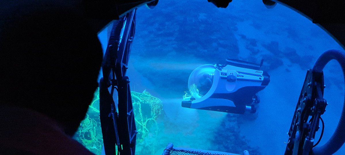scubacuracao's tweet photo. Do you love diving or snorkeling around wrecks? 
If you do, then keep reading as we dive into the 10 famous wrecks of Curacao that even includes a deep exploration dive in a submarine!👉https://t.co/QuOPhtVvtg @CuracaoTravel @curacao_dive #wreckdiving #scubadiving #news https://t.co/9PraZs5zOR