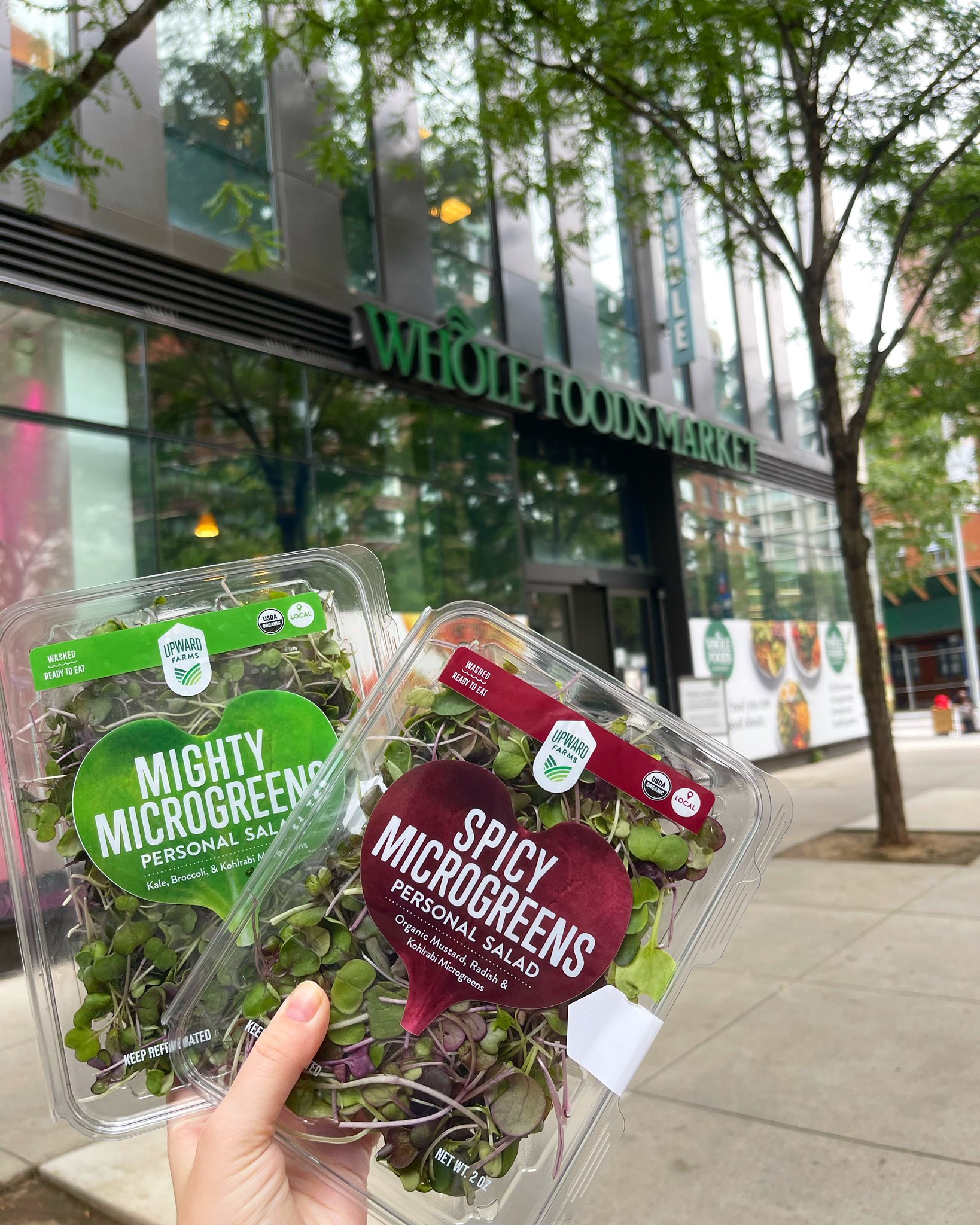 whole foods tribeca jobs