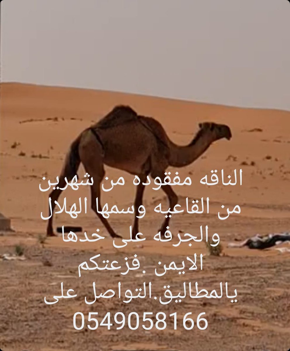 ksa_al5's tweet photo. https://t.co/XIqGRPuP4W