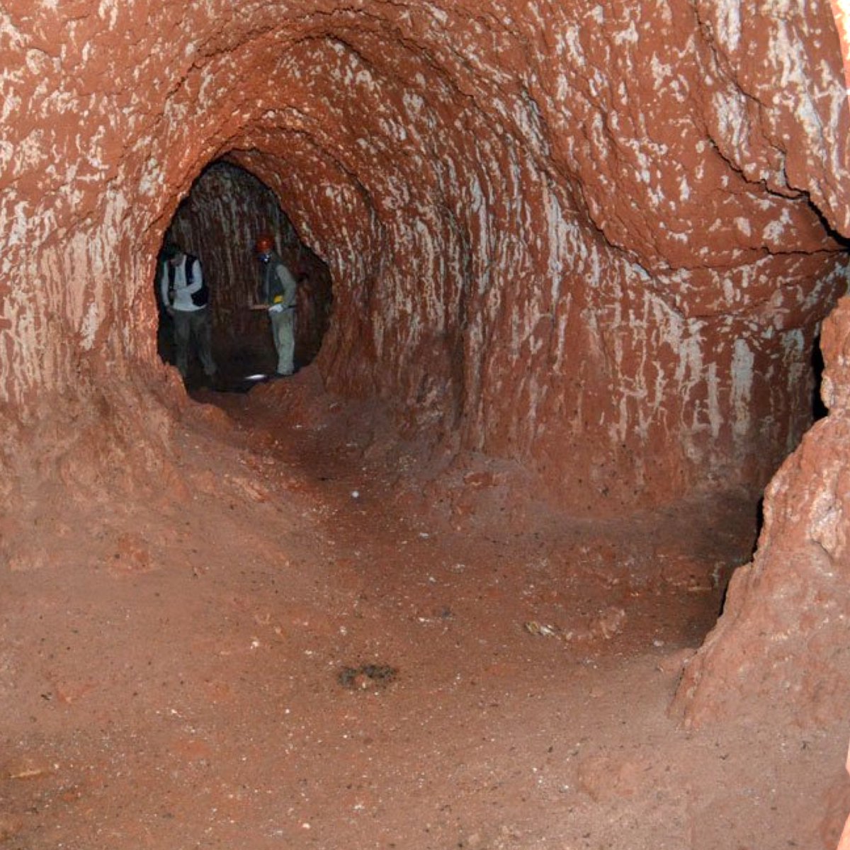 BoxOfOddities's tweet photo. The largest paleoburrow believed to have been dug by giant ground sloths is over 2,000 feet long 🦥👀
#theboxofoddities #podcast #true #history #weird #aatsy #sloth #brazil 
Credit: Amilcar Adamy/CPRM https://t.co/WpZCKcYG9x