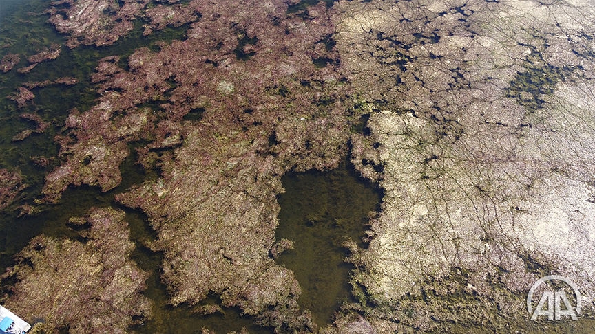 ❝Göl kıyıları 200 metre kadar çekilmiş durumda❞

Kuraklığın etkilediği Beyşehir Gölü eski günlerini arıyor v.aa.com.tr/2341117