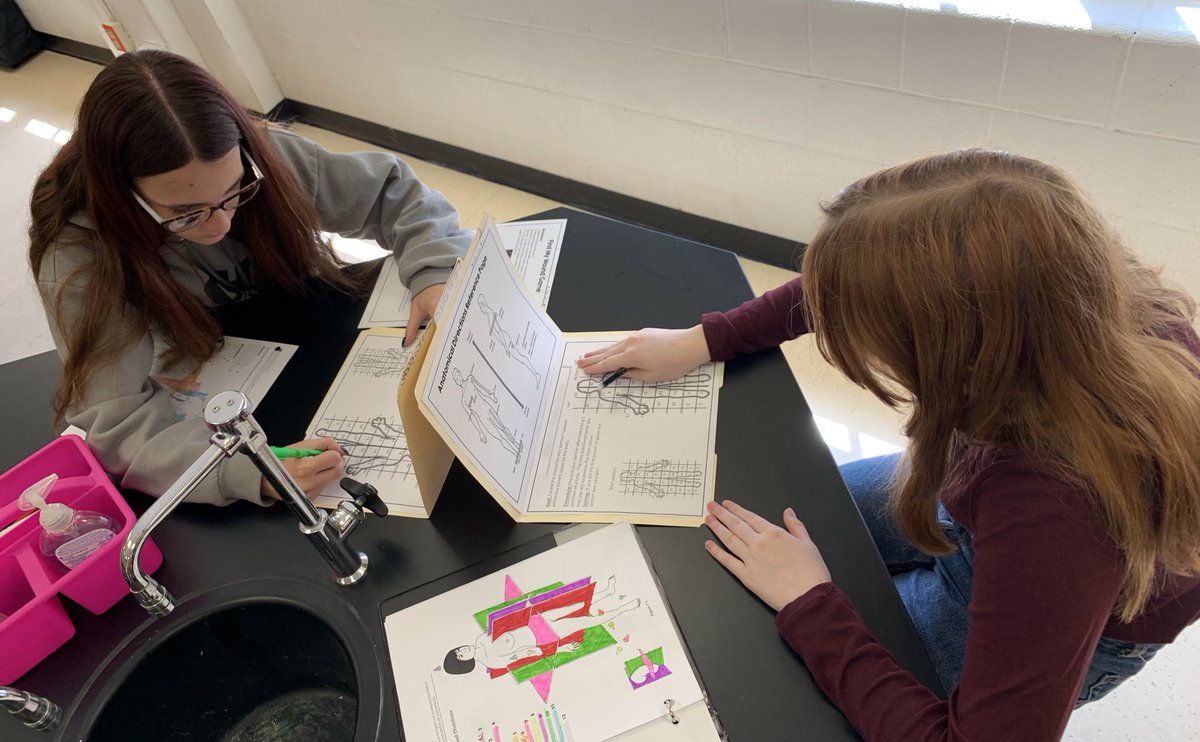 ThBryceisRight_'s tweet photo. Today Honors Anatomy &amp; Physiology students got to play Find My Wound! This battleship-style game lets students practice correct usage of anatomical vocabulary. #ouch #anatomy #handsonlearning #hendersonscience #iamwfisd https://t.co/q60iEWiVkD