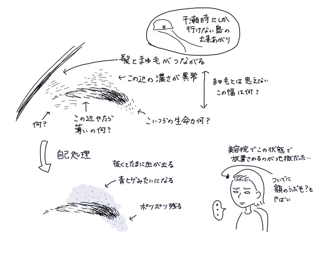 眉毛が両津かな?ってくらい太くて3日放置するだけで繋がるレベルだったから顔脱毛した 