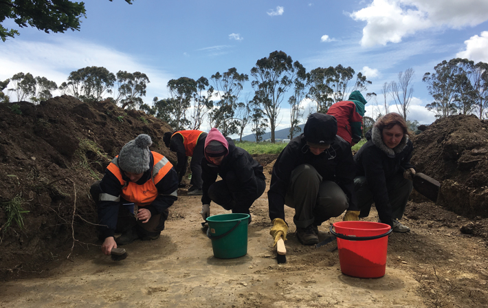 Isotope analysis of human remains recovered from unmarked graves in Otago is helping to pinpoint the European and Asian origins of New Zealand’s colonists, who arrived on the islands in the mid-19th century. archaeology.org/issues/439-210…