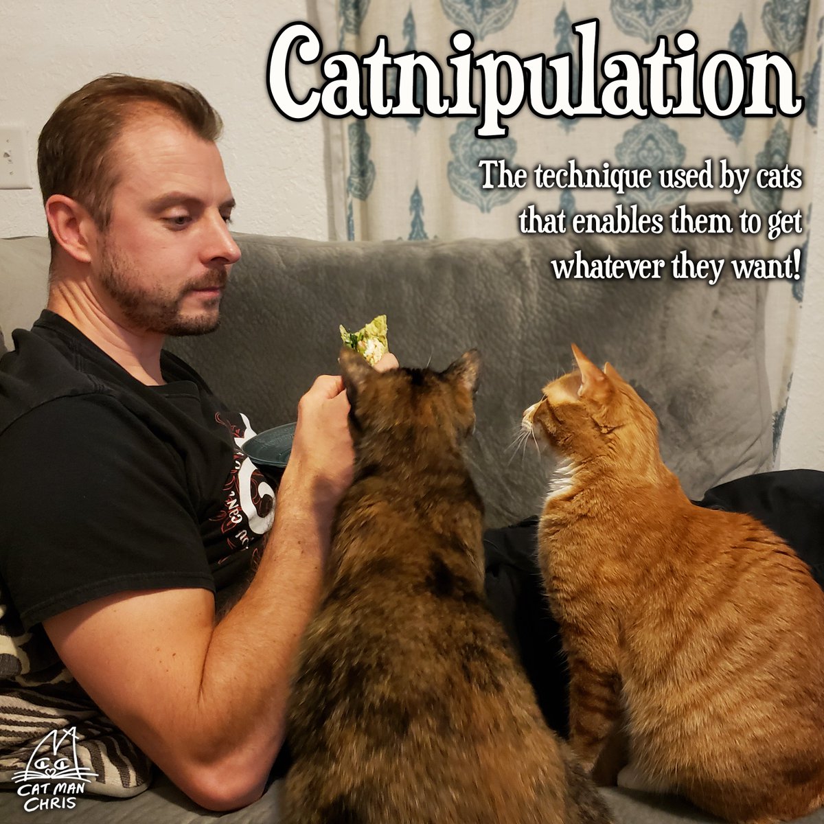 Cat Man Chris tweet media