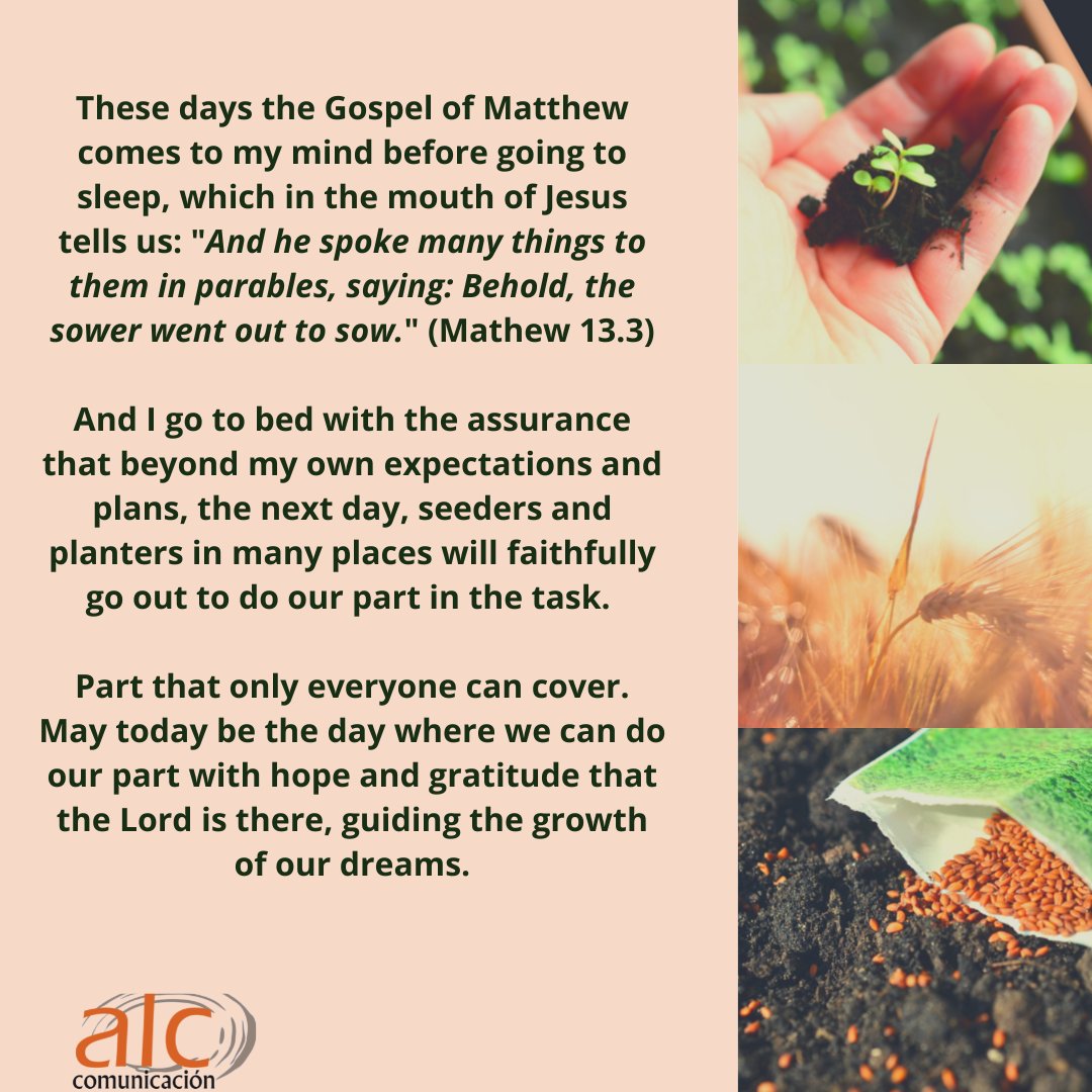 news_alc's tweet image. 