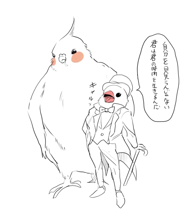 金ロー懐かしくて最高だった…鳥の恩返し 