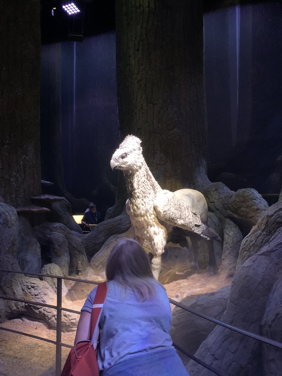 MrFrainICT's tweet photo. Hopefully this will be the year I get my Creative Imedia students to Warner Brothers Studios! 🤞 #imedia #harrypotter #wbstudiolondon https://t.co/u7xIZFwW86