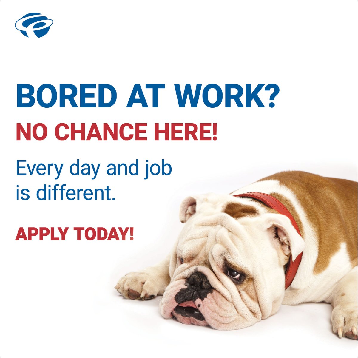 Connectivity Point tweet media