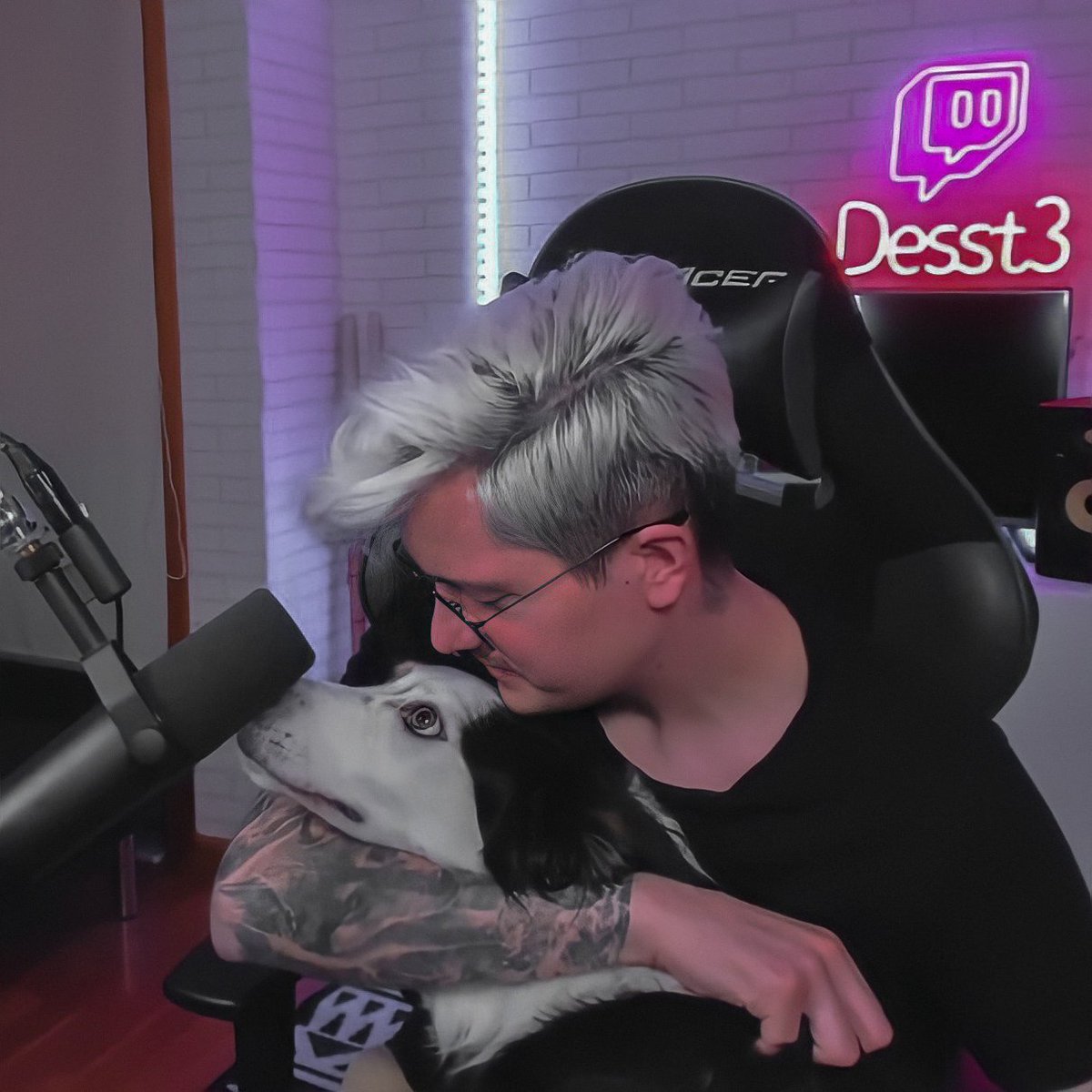 desslovebot's tweet photo. the dog is the only animal that loves you more than himself ♡ https://t.co/UjwR5I8yDj