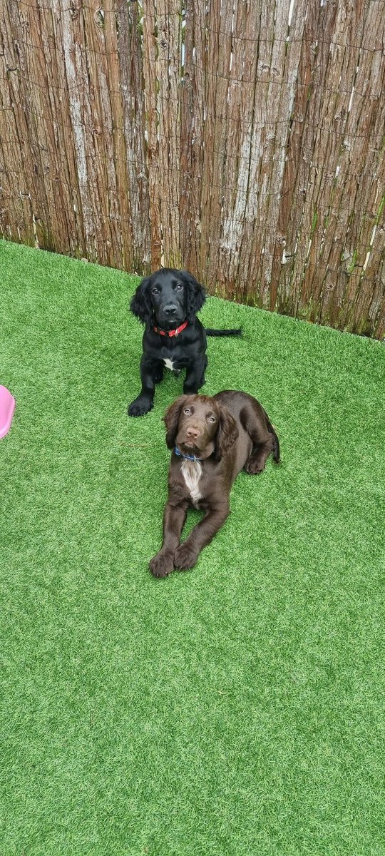 These 2 are pots