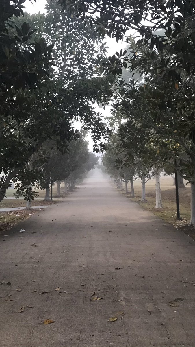 Changeling_Int's tweet photo. an omen... https://t.co/Iqe9QWvM4K