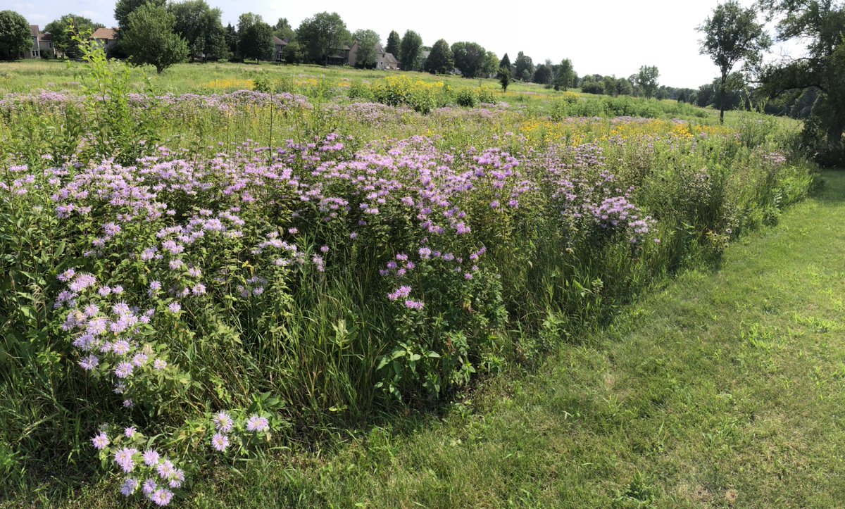 Stan Gorbatkin tweet media