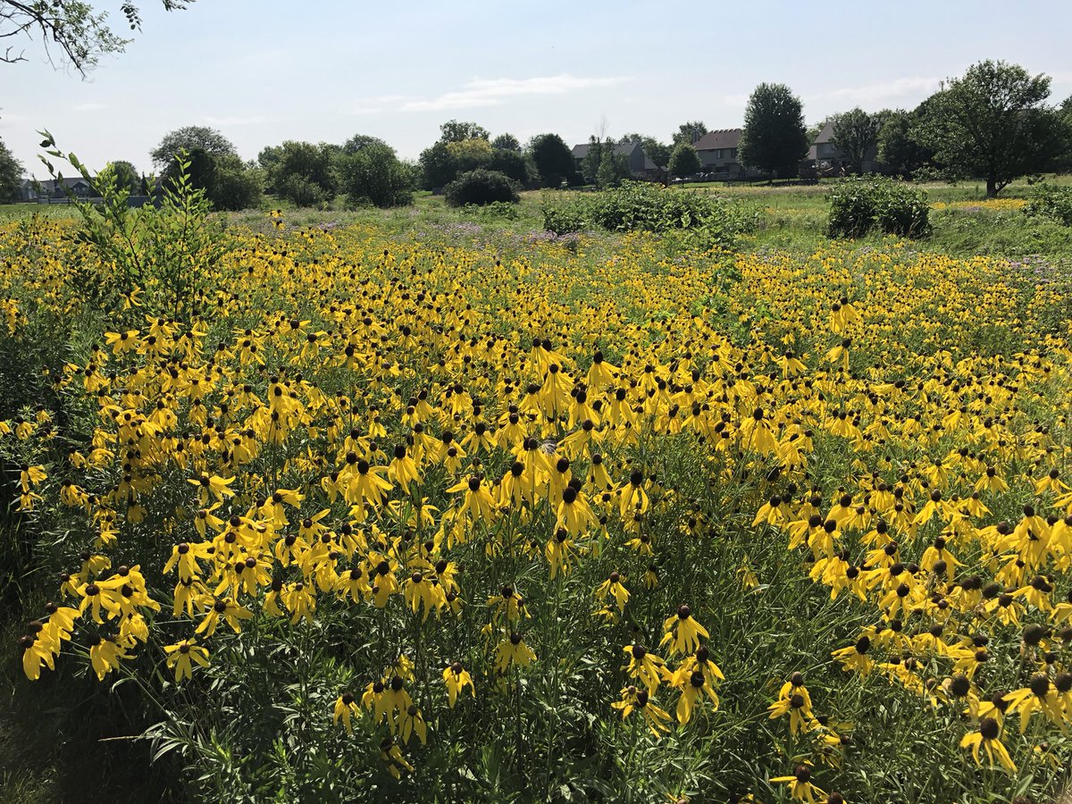 Stan Gorbatkin tweet media