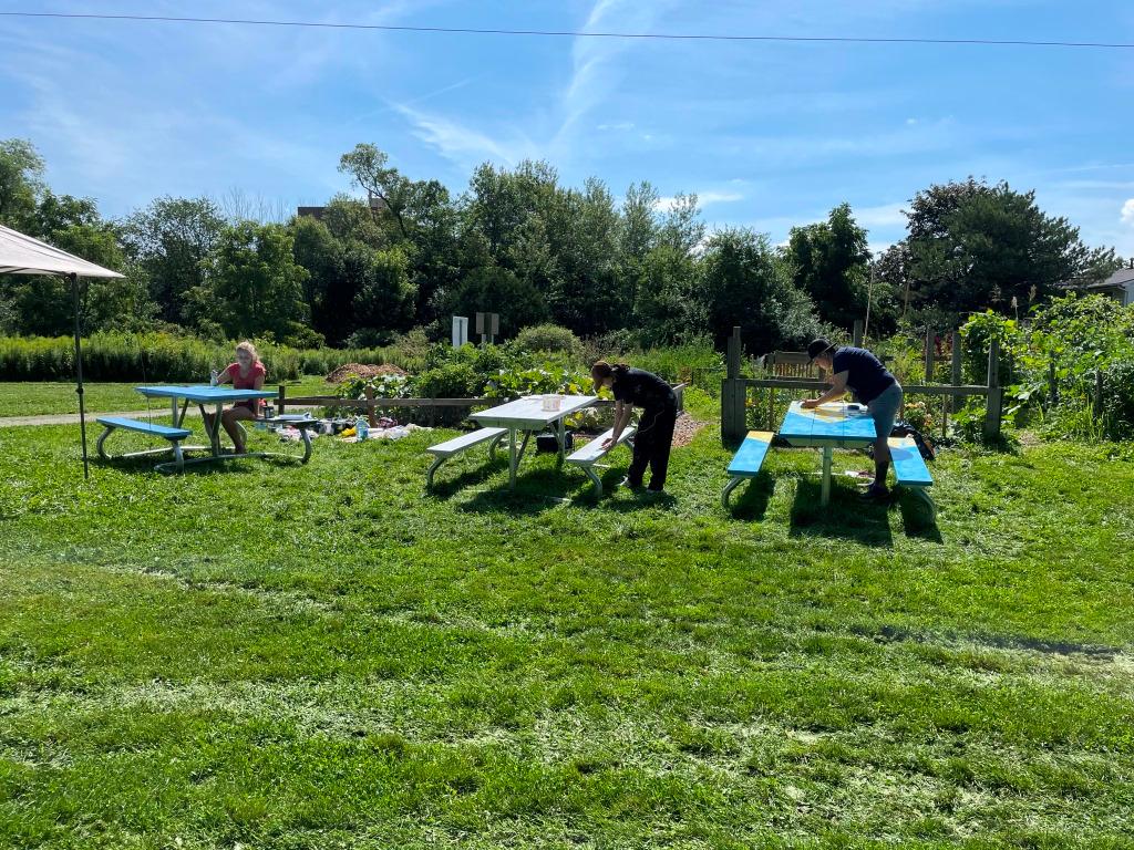 citywaterloo's tweet photo. Waterloo Neighbourhoods Edition 45! Foxhunt Little Libraries, cool treats in Lincoln Village West, gardening tips, beautiful new picnic tables, public engagement opportunities and much more! Read + subscribe today! #neighbourloo https://t.co/S1WNCChHf3 https://t.co/2B9AbfdA3i