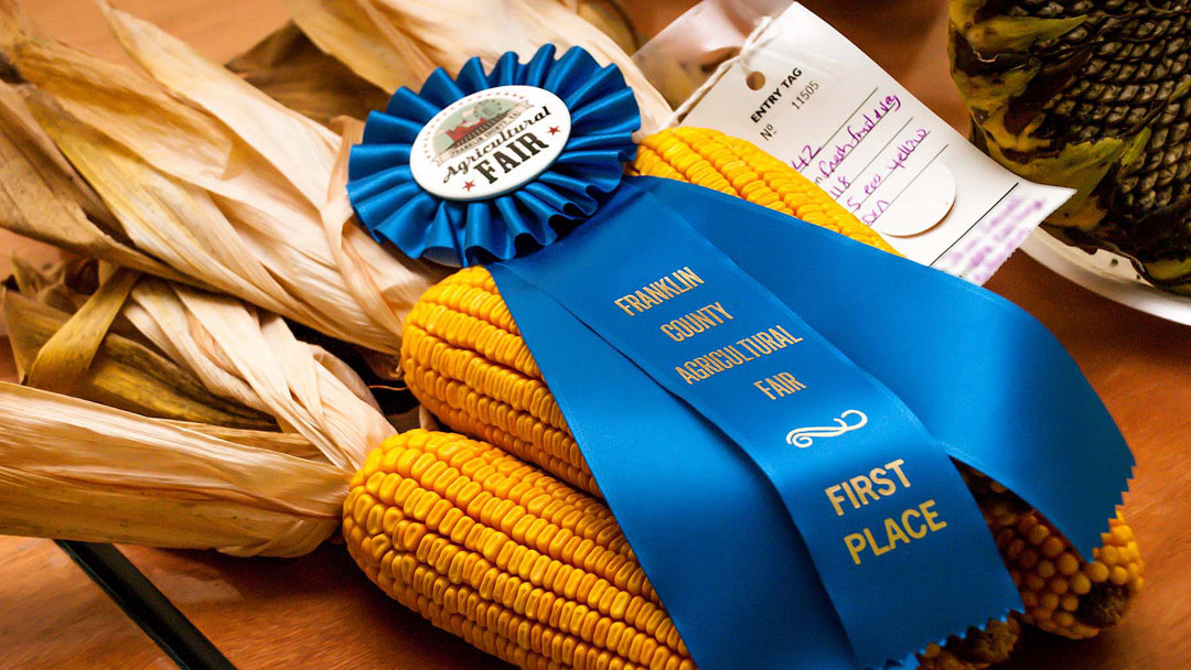 Franklin Co Ag Fair tweet media