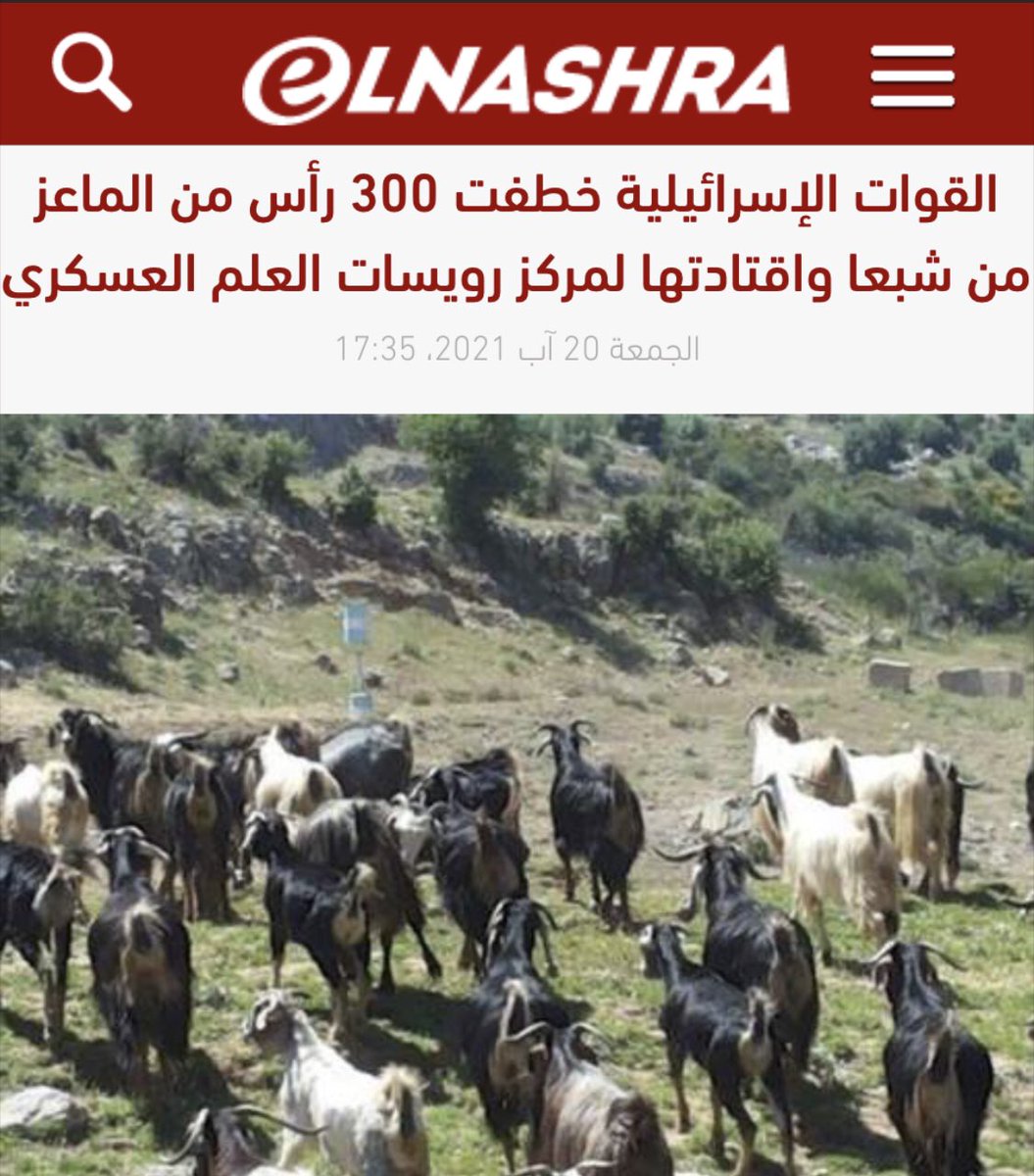 Loodz's tweet photo. عزيزي #الإسرائيلي الحمار، 
#البله_تسترك شو انك غشيم، انت بدك الخواريف يللي عنا مش هيدول، هيدول معزي رجعهم لصاحبن، #فخامتو و #معالي و #سيادته، فصيلة من #الخواريف يا أهبل https://t.co/zSqai96sGa