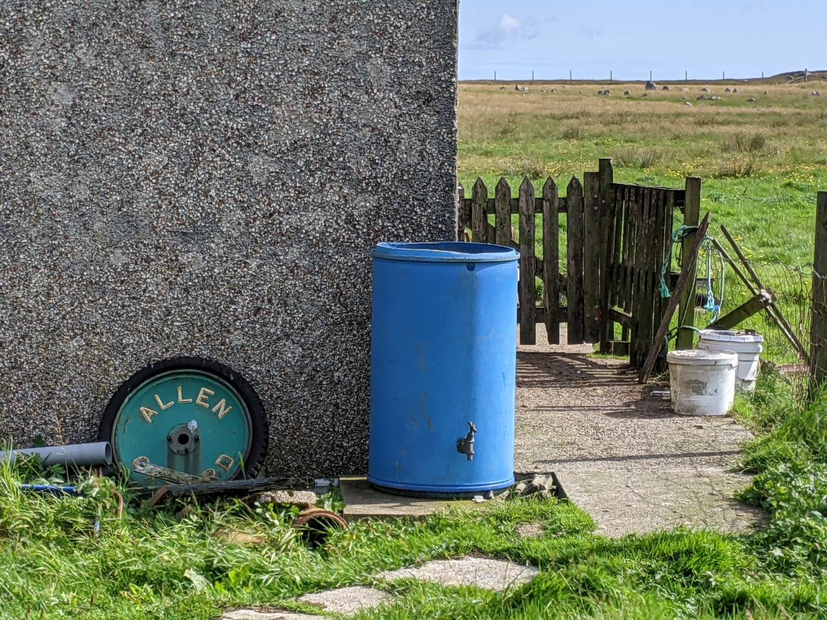 ppcallenhouse's tweet photo. Allen - spotted in the Outer Hebrides. #allenhouse https://t.co/4xsCNBGTIB