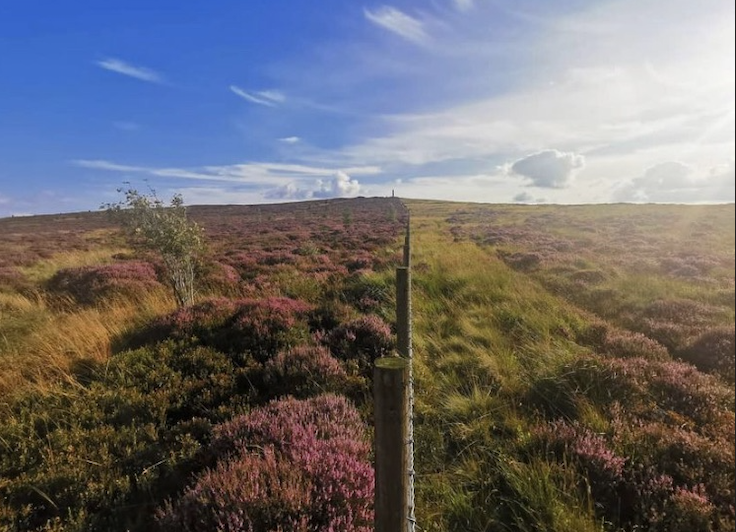 On the left the old Langholm grouse moor, bought by the community, beginning to rewild. A wonderful example of social and environmental justice.📸by @LBuyout