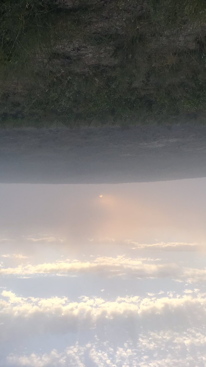 Changeling_Int's tweet photo. I remember a face, from the dream. I see him, his image in the wall. He is coming, tunnelling through void. https://t.co/VbaqVQbKQe