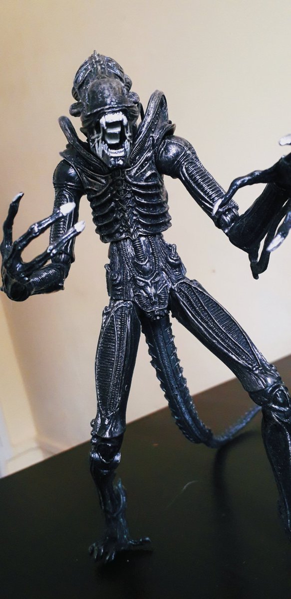 AcheronQueen's tweet photo. 🥰 go forth and kill for mother😏
#jerry #killformother @kingvegeta666 https://t.co/Ij55jOHH1D