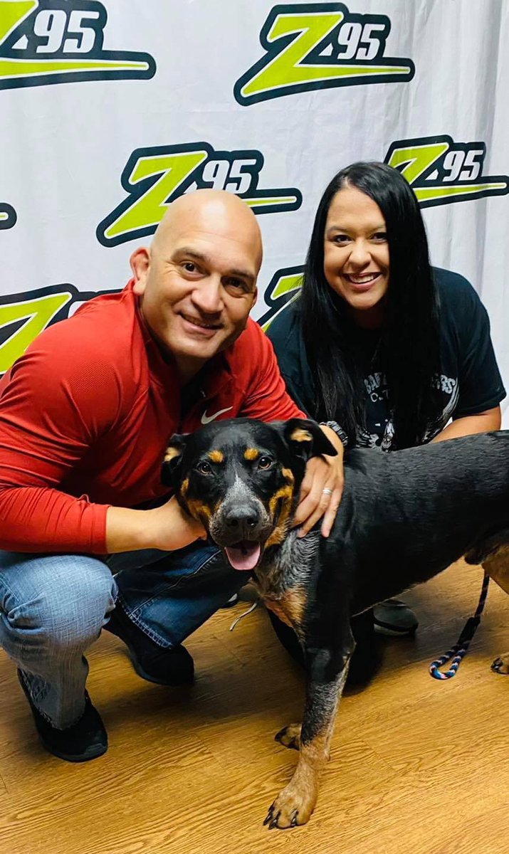 gchscc1945's tweet image. Gino and Ericka got to play with Pepper this morning on @hotz95! Pepper has a big heart that wants to shower you with love! Adopt him today by visiting our webiste, gchscc.org, and meet him in person at 3118 Cabaniss Parkway. #hotz95 #coastlifecreditunion #pepper