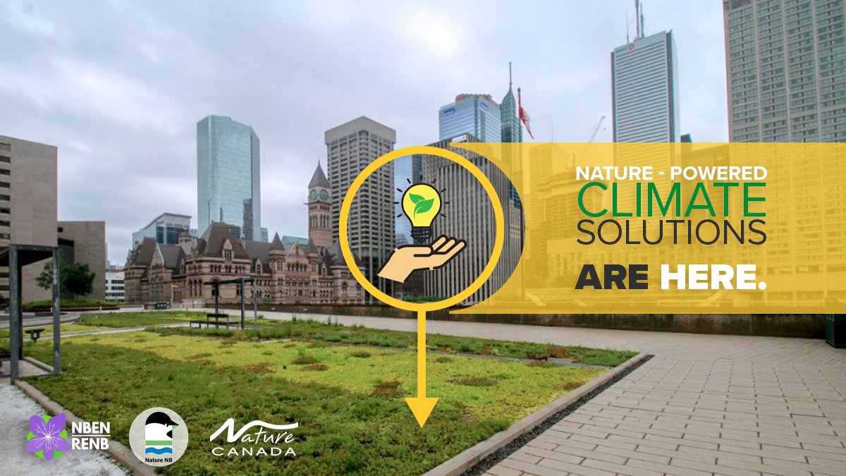NatureCanada's tweet image. Nature-powered climate solutions exist throughout our country, ready to tackle our global #ClimateCrisis.

These include conservation, protection, restoration and improved land management to help reduce greenhouse gas emissions.

Find out where: naturecanada.ca/defend-nature/…