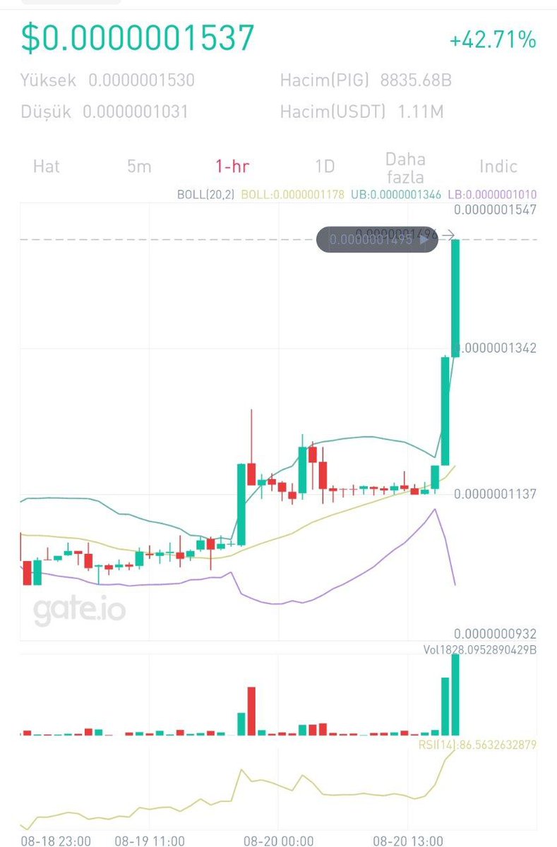 PUMP!!!!!!!🚀💰🐷