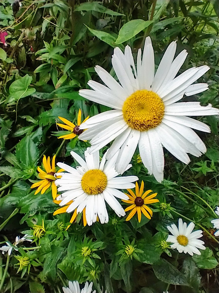 Family.                       #NaturePhotography