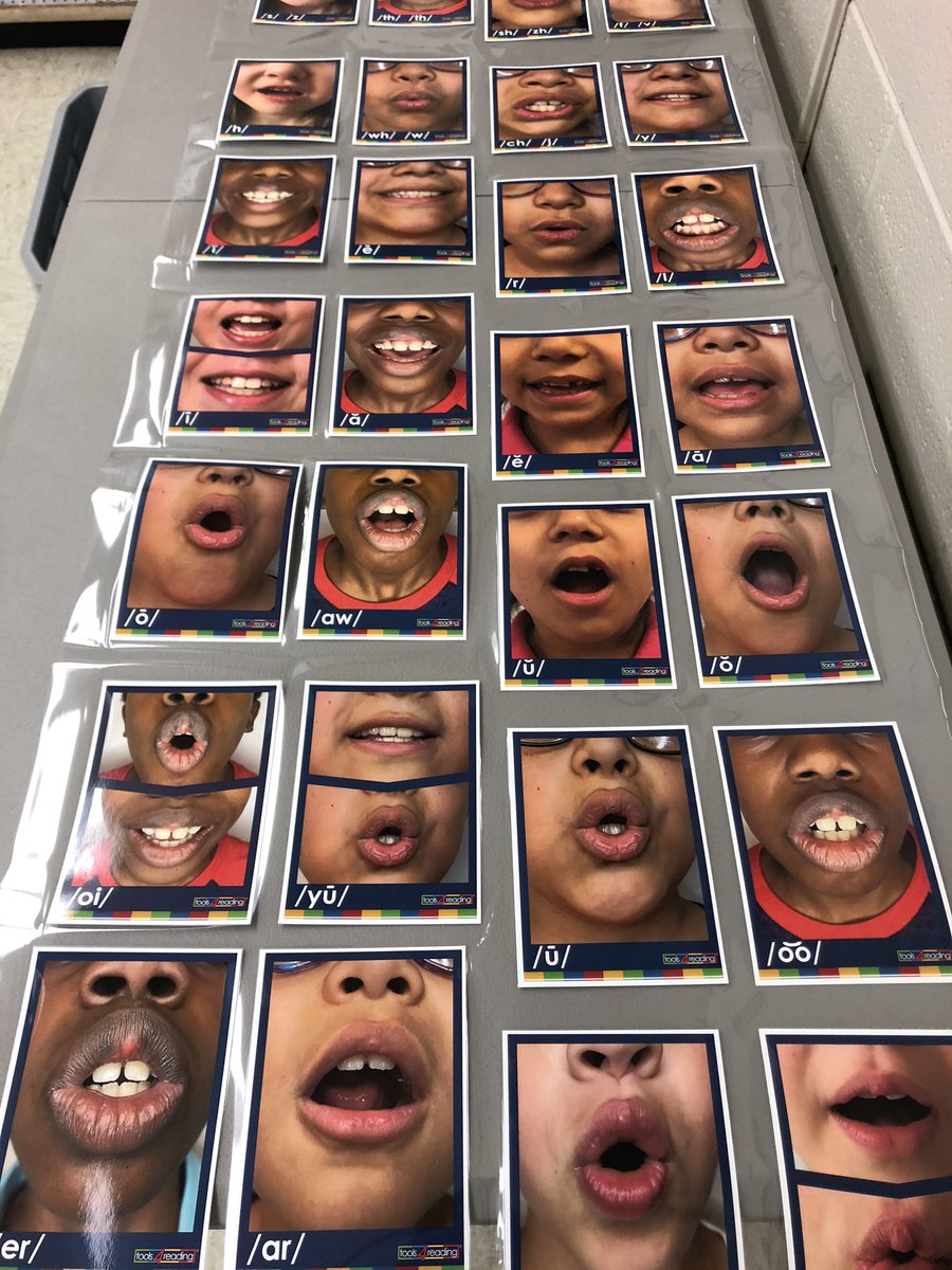 Megan Crowe tweet media