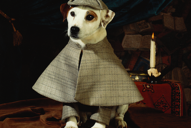 SketchesbyBoze's tweet photo. I owe my entire personality to the fact that, at a young age, a dog got me hooked on reading https://t.co/a5NEexChMs