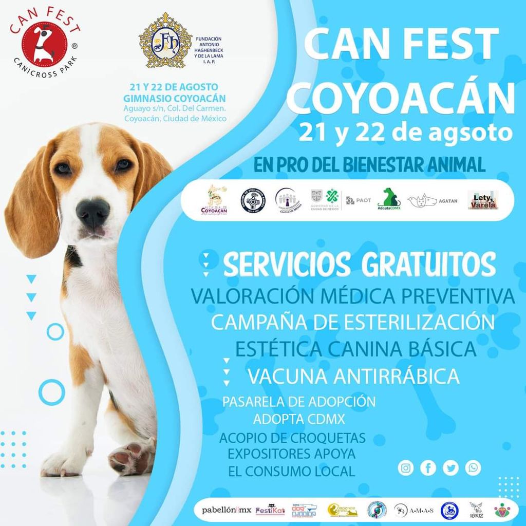 Alcaldía de Coyoacán tweet media