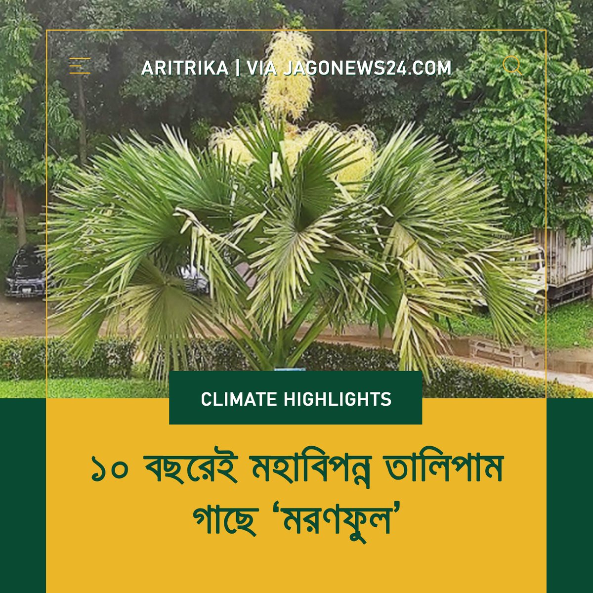 aritrikaauro's tweet photo. #climatechange #ActOnClimate #endangered
#endangeredspecies #endangeredplants
#conservation #conservationmatters
đ āĻŦāĻŋāĻļā§āĻŦāĻŦā§āϝāĻžāĻĒā§ āĻŽāĻšāĻžāĻŦāĻŋāĻĒāύā§āύ āϤāĻžāϞāĻŋāĻĒāĻžāĻŽ āĻĒā§āϰāĻāĻžāϤāĻŋāϰ āϏāϰā§āĻŦāĻļā§āώ āύāĻŽā§āύāĻžāĻāĻŋ āĻāĻŋāϞ āĻĸāĻžāĻāĻž āĻŦāĻŋāĻļā§āĻŦāĻŦāĻŋāĻĻā§āϝāĻžāϞāϝāĻŧ āĻā§āϝāĻžāĻŽā§āĻĒāĻžāϏā§
Source:
https://t.co/Aiy8XKQDHz
#Aritrika #Climatehighlights #iucnredlist https://t.co/VoamTanL3I